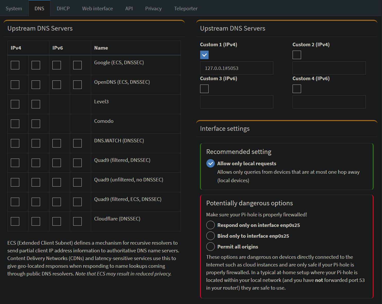 Pi-Hole DNS settings.