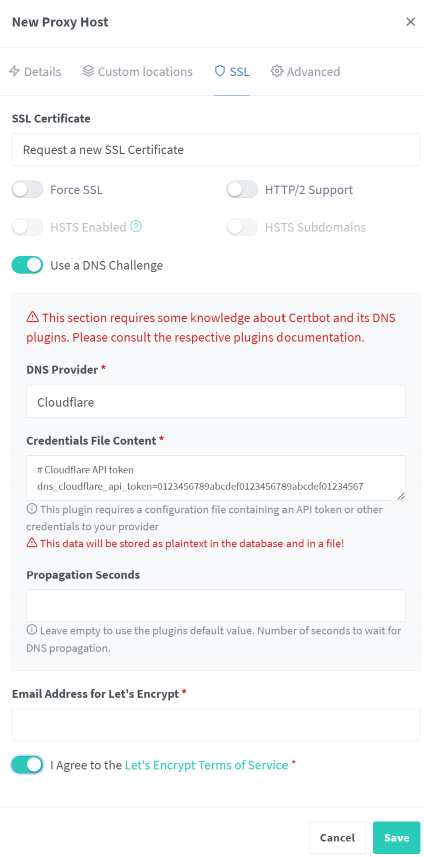 Configuring SSL in Nginx proxy manager.