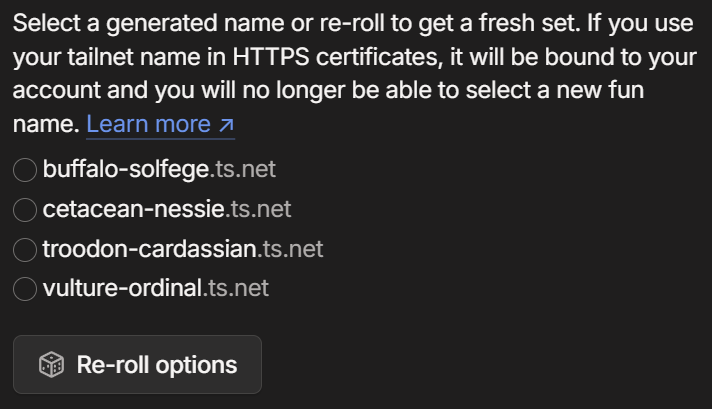 Choosing a tailnet fun name.